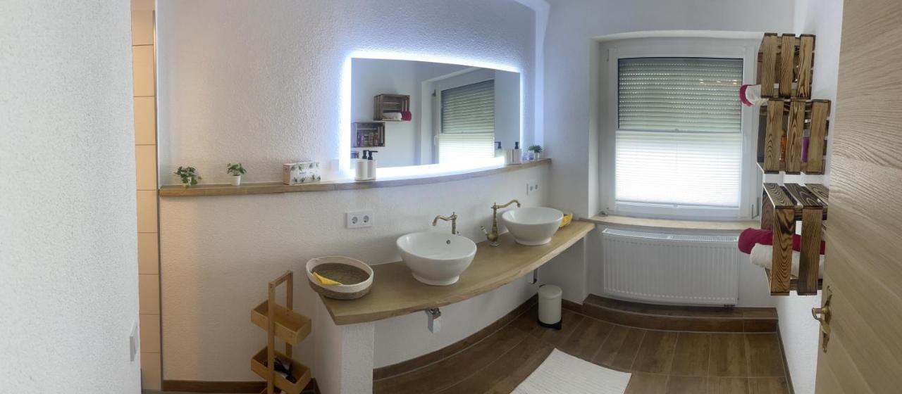 Ferienwohnung Ziegenschweiz Auerbach  외부 사진